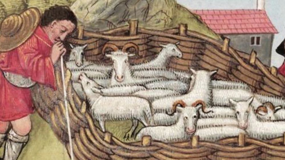 L’arrivée des troupeaux offre à ces hautes terres du Palais du Roi, autour du col de la Pierre Plantée, une manne de fumure propice à la culture du seigle. © DR